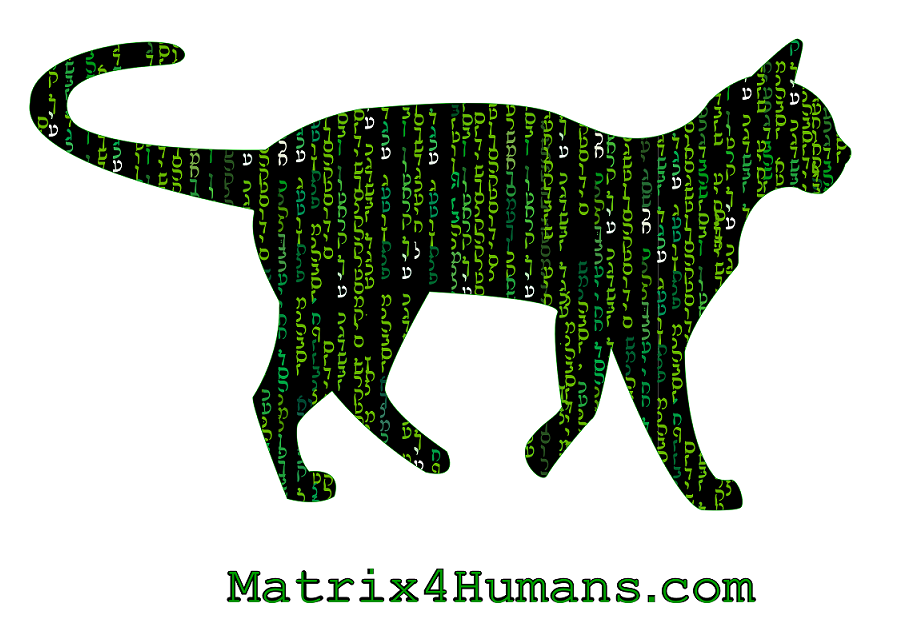 Matrix Deja Vu Cat